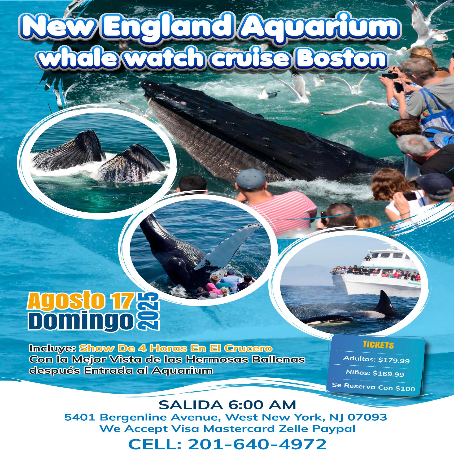Buy tickets for New England Aquarium whale watch cruise Boston New England Aquarium whale watch cruise Boston